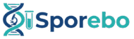 storebossco.shop